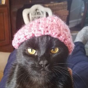 Meet your Posher, Addison